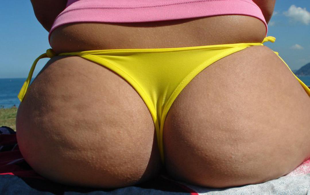 Pintster uit Zuid-Holland,Nederland